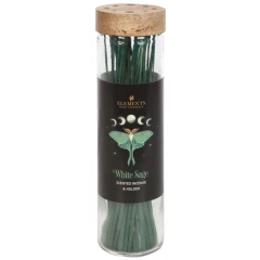 Dark Forest Incense - White Sage (30ct) - Glass tube with incense holder